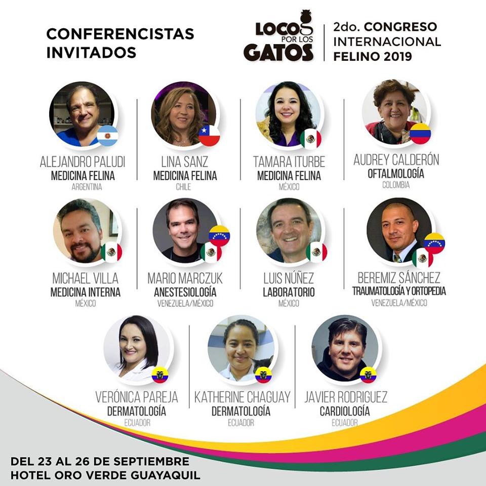 Locos critical essays 08 image