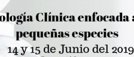 Captura de Pantalla 2019-06-09 a la(s) 2.08.45 Captura de Pantalla 2019-06-09 a la(s) 2.08.45