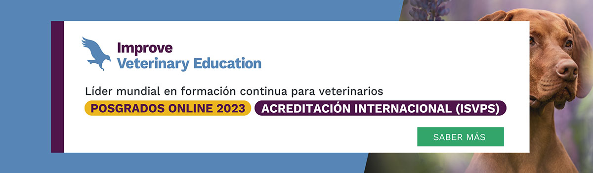 improve-veterinary-education