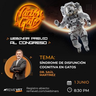 SAUL