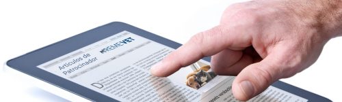 Tageszeitung lesen mit Tablet PC Tageszeitung lesen mit Tablet PC