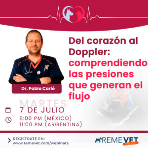 Del corazón al doppler: comprendiendo las presiones que generan el flujo