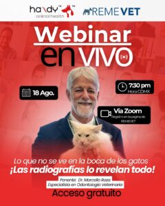 Lo que no se ve en la boca de los gatos, ¡las radiografías lo revelan todo!