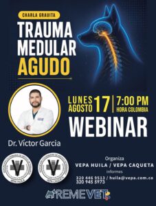 Trauma medular agudo