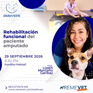 AMMVEPE: Rehabilitación funcional del paciente amputado