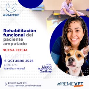 AMMVEPE: Rehabilitación funcional del paciente amputado