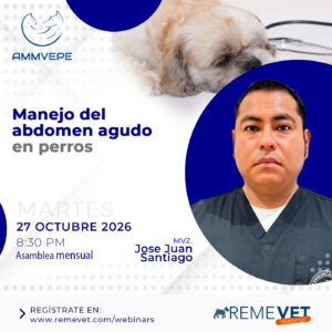 AMMVEPE – MANEJO DEL ABDOMEN AGUDO EN PERROS